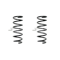 Fahrwerksfedern-Set hinten Schraubenfeder 306mm SPIDAN...