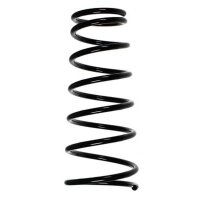 Fahrwerksfeder-Set vorne Schraubenfeder 289mm SPIDAN...