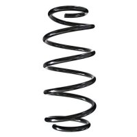 Fahrwerksfeder-Set vorne Schraubenfeder 322mm SPIDAN...