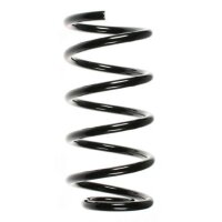 Fahrwerksfeder-Set hinten Schraubenfeder 266mm SPIDAN...