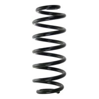Suspension spring set rear coil spring 246mm SPIDAN for...