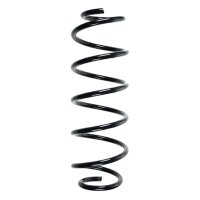 Fahrwerksfedern-Set hinten Schraubenfeder 359mm SPIDAN...