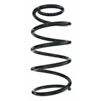 Fahrwerksfeder-Set vorne Schraubenfeder 341mm SPIDAN...