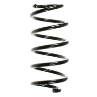 Fahrwerksfeder-Set vorne Schraubenfeder 306mm SPIDAN...