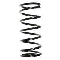 Fahrwerksfedern-Set vorne Schraubenfeder 362mm SPIDAN...
