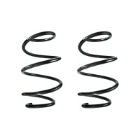 Fahrwerksfeder-Set vorne Schraubenfeder 306mm SPIDAN...