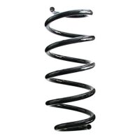 Fahrwerksfeder-Set hinten Schraubenfeder 324mm SPIDAN...