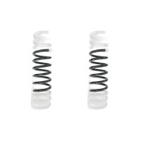 Suspension spring set rear coil spring 422mm SPIDAN for...