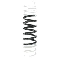 Suspension spring set rear coil spring 422mm SPIDAN for...