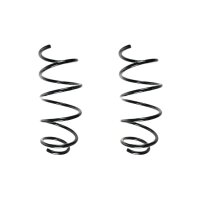 Fahrwerksfedern-Set vorne Schraubenfeder 365mm SPIDAN...