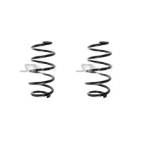 Fahrwerksfeder-Set vorne Schraubenfeder 303mm SPIDAN...