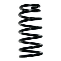 Suspension spring set rear coil spring 264mm SPIDAN for...