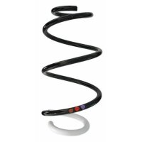 Fahrwerksfeder-Set vorne Schraubenfeder 329mm SPIDAN...