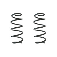 Fahrwerksfeder-Set vorne Schraubenfeder 318mm SPIDAN...