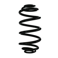 Fahrwerksfeder-Set hinten Schraubenfeder 299mm SPIDAN...