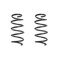 Fahrwerksfeder-Set vorne Schraubenfeder 303mm SPIDAN...