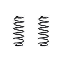 Fahrwerksfedern-Set hinten Schraubenfeder 244mm SPIDAN...