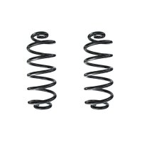 Suspension spring set rear coil spring 343mm SPIDAN for...