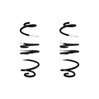 Fahrwerksfedern-Set hinten Schraubenfeder 349mm SPIDAN...