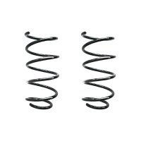 Suspension spring set rear coil spring 310mm SPIDAN for...