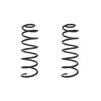 Fahrwerksfeder-Set hinten Schraubenfeder 390mm SPIDAN...