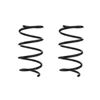Fahrwerksfeder-Set vorne Schraubenfeder 295mm SPIDAN...