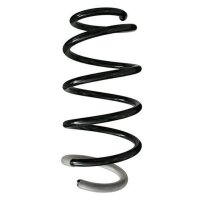 Fahrwerksfeder-Set vorne Schraubenfeder 322mm SPIDAN...