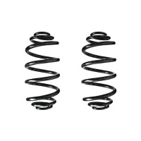 Fahrwerksfeder-Set hinten Schraubenfeder 316mm SPIDAN...