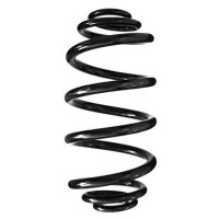 Fahrwerksfeder-Set hinten Schraubenfeder 316mm SPIDAN...