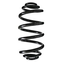 Fahrwerksfedern-Set hinten Schraubenfeder 316mm SPIDAN...