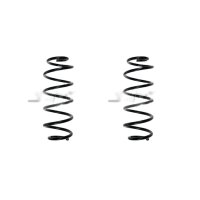Fahrwerksfedern-Set hinten Schraubenfeder 297mm SPIDAN...