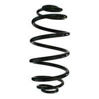 Fahrwerksfeder-Set hinten Schraubenfeder 300mm SPIDAN...