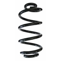Fahrwerksfeder-Set hinten Schraubenfeder 304mm SPIDAN...