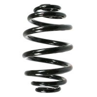 Fahrwerksfedern-Set hinten Schraubenfeder 249mm SPIDAN...
