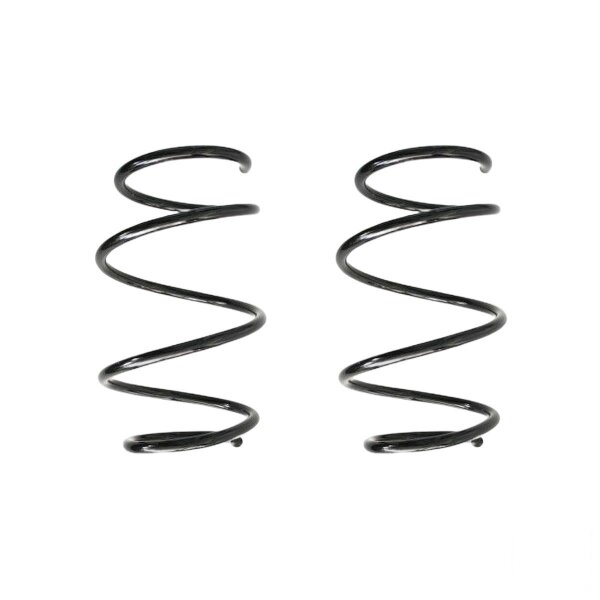 Suspension spring set front coil spring 290mm SPIDAN for BMW Z4 Roadster