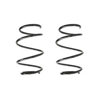 Fahrwerksfeder-Set vorne Schraubenfeder 290mm SPIDAN...