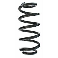 Fahrwerksfeder-Set vorne Schraubenfeder 324mm SPIDAN...
