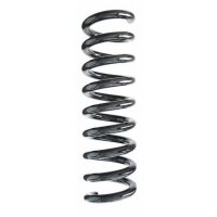 Fahrwerksfeder-Set hinten Schraubenfeder 352mm SPIDAN...