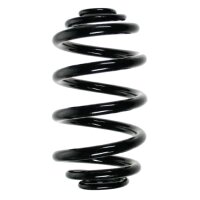 Suspension spring set rear coil spring 255mm SPIDAN for...