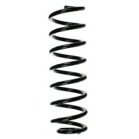 Fahrwerksfeder-Set hinten Schraubenfeder 317mm SPIDAN...