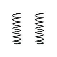 Suspension spring set rear coil spring 317mm SPIDAN for...