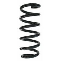 Fahrwerksfeder-Set vorne Schraubenfeder 301mm SPIDAN...