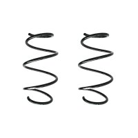 Fahrwerksfeder-Set vorne Schraubenfeder 302mm SPIDAN für BMW 1 (F21)