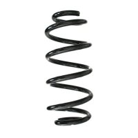 Fahrwerksfeder-Set hinten Schraubenfeder 273mm SPIDAN...
