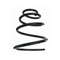 Fahrwerksfeder-Set vorne Schraubenfeder 232mm SPIDAN...