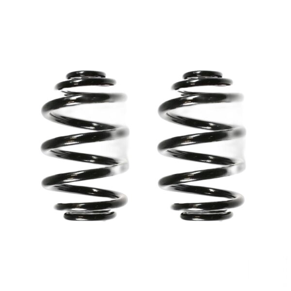 Suspension spring set rear coil spring 238mm SPIDAN for BMW 3 Convertible