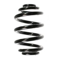 Fahrwerksfeder-Set hinten Schraubenfeder 238mm SPIDAN...
