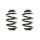 Fahrwerksfeder-Set hinten Schraubenfeder 238mm SPIDAN für BMW 3 Cabriolet