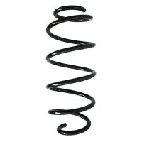 Fahrwerksfeder-Set vorne Schraubenfeder 384mm SPIDAN...