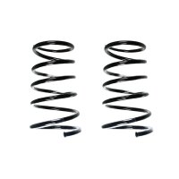 Suspension spring set rear coil spring 306mm SPIDAN for...